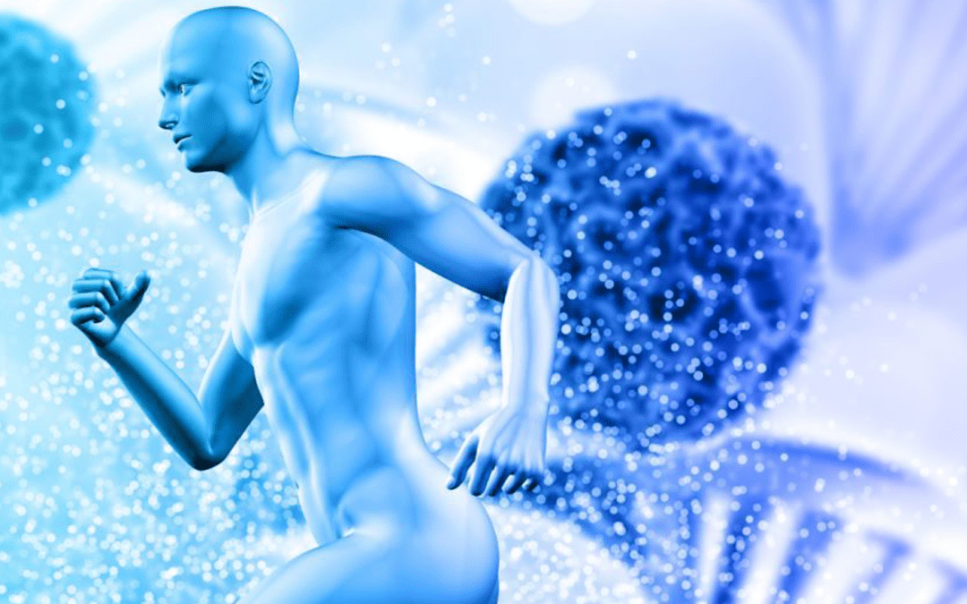 Las Bacterias que viven dentro de nosotros
