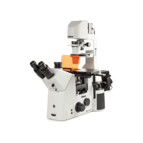 Microscopio Inverso para Fluorescencia