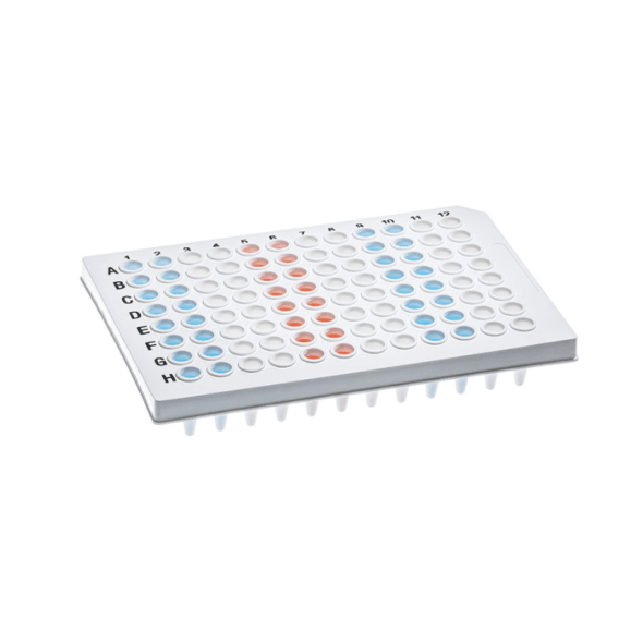 Placa PCR Blanca de 96 pocillos con faldón de 0,1ml