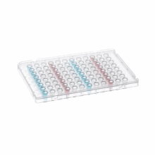 Placa PCR de 96 pocillos con faldón