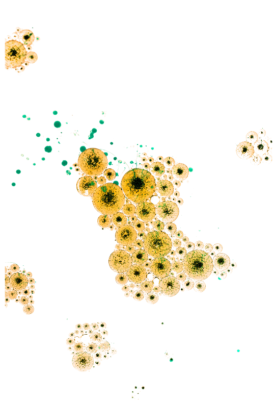 La influencia de la Microbiología SciSols 1