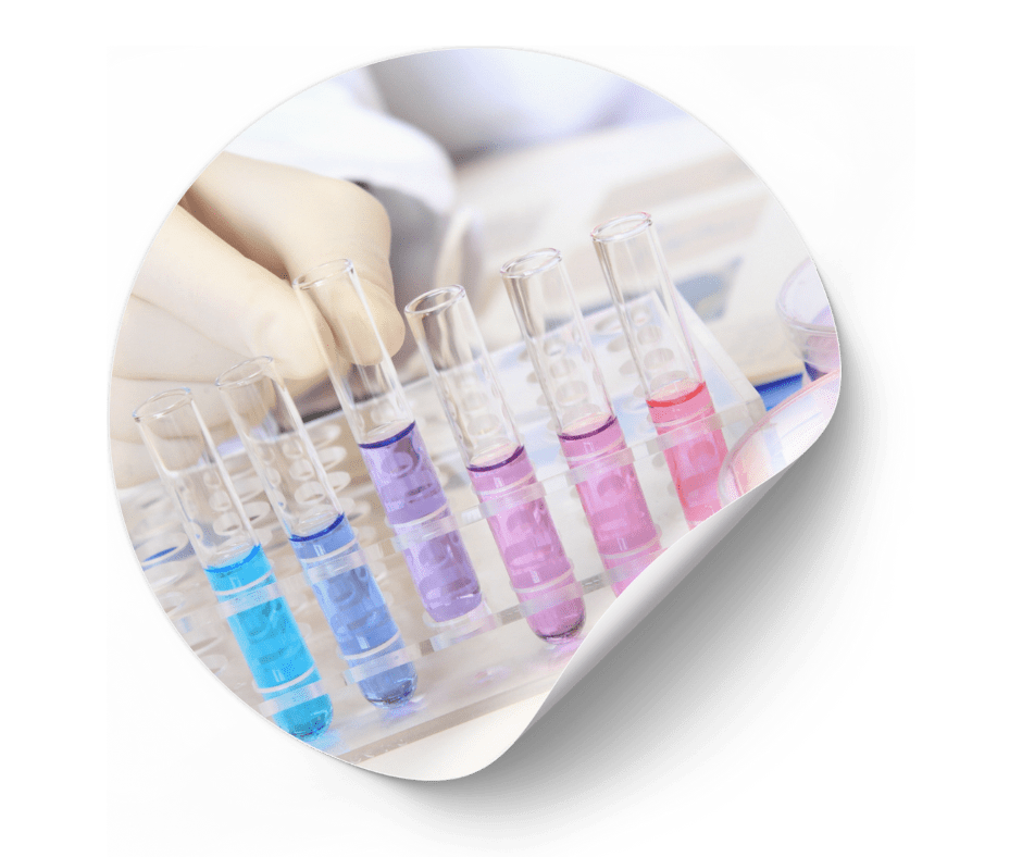 La influencia de la Microbiología SciSols 2