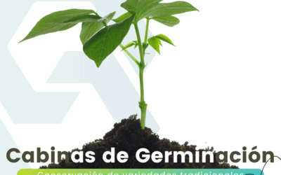 Cabinas de germinación: papel esencial para conservar variedades tradicionales