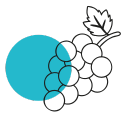 Industria Enológica